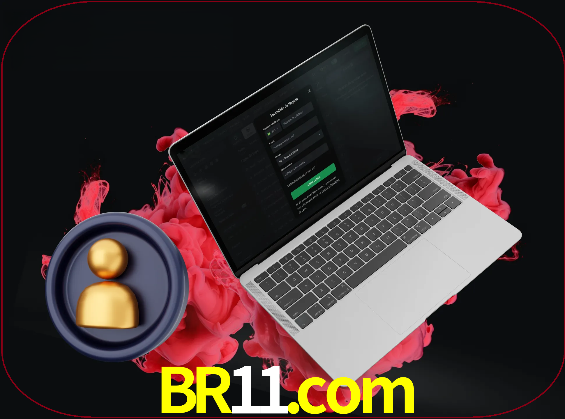 No cabeçalho do site br11, clique no botão que o levará a um formulário especial onde terá de introduzir as suas informações actuais.